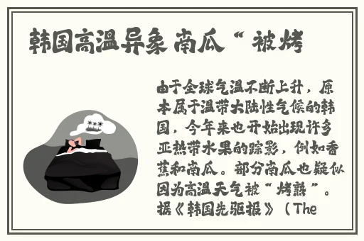 yy6090新视线看